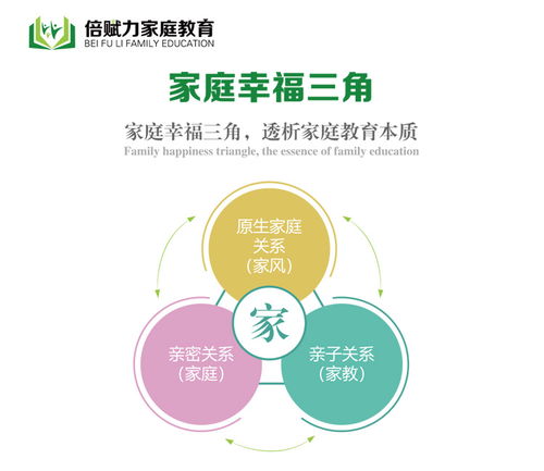 山東倍賦力教育 青少年一對(duì)一在線輔導(dǎo)咨詢